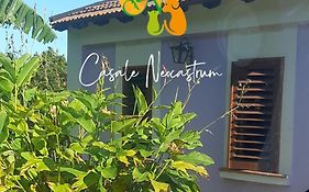 Azienda Agricola Neocastrum